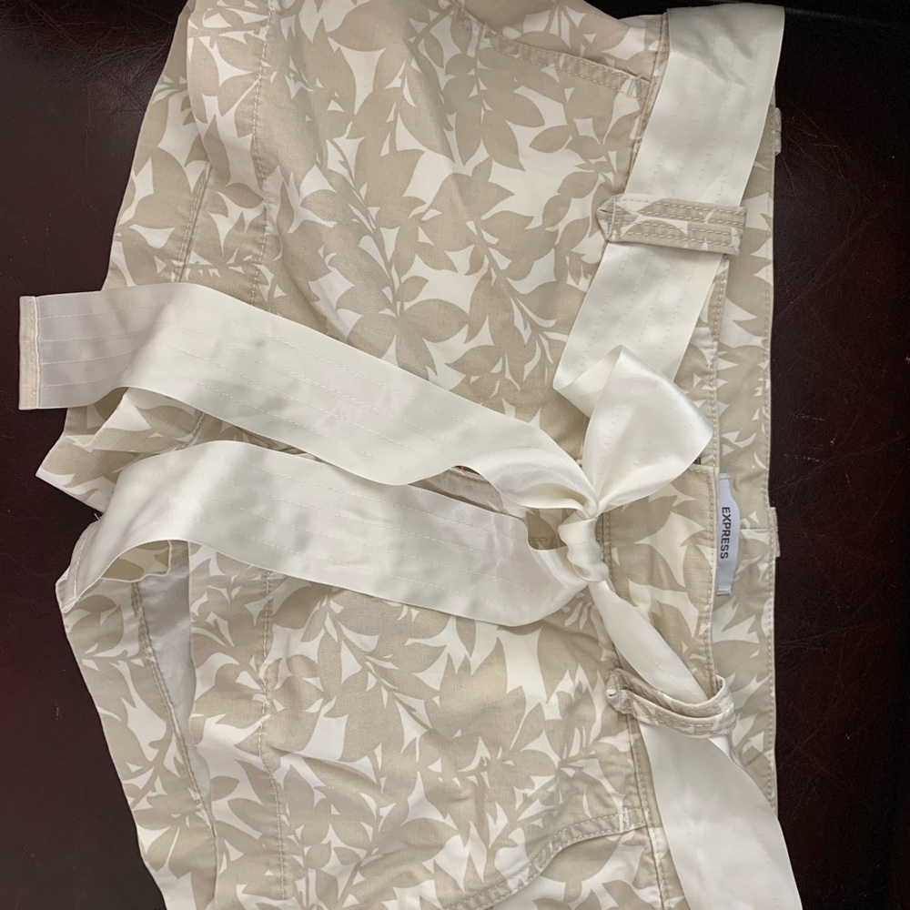 Express Shorts - Picture 2 of 5